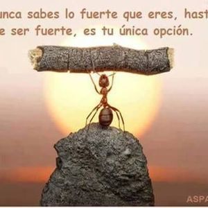 Meet your Posher, Elena